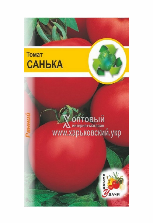 Томаты санька описание. Томат Санька. Семена помидор Санька. Помидоры Санька описание. Помидоры Санька фото и описание.